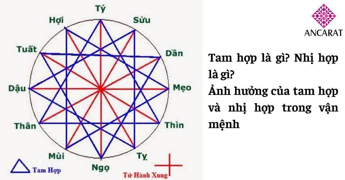 Tam hợp, Nhị hợp là gì